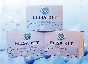猪1,4,5-三磷酸肌醇（IP3）ELISA检测试剂盒
